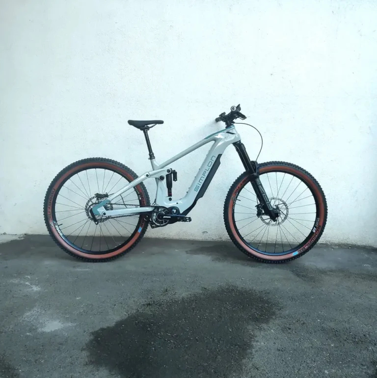 SIMPLON Rapcon Pmax Pinion (2024)