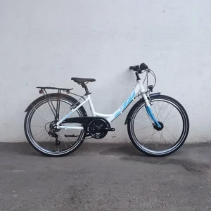 KTM Wild Cat 24 (2023)