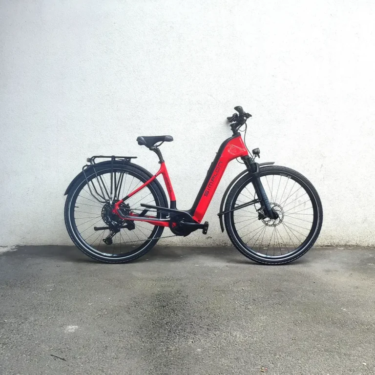 SIMPLON Chenoa Bosch CX Wave (2024)