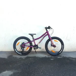 MERIDA Matts J. 20+ (2025) - 20"