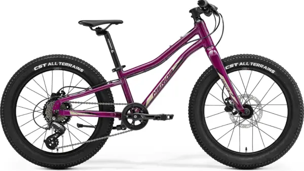 MERIDA Matts J. 20+ (2024)