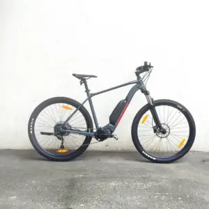 MERIDA eBig Nine LTD