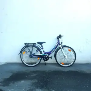 HERCULES Pippa R7 24 (2025)