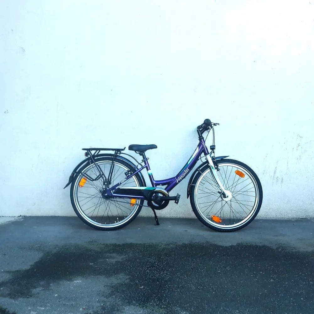 HERCULES Pippa R7 24 (2025)