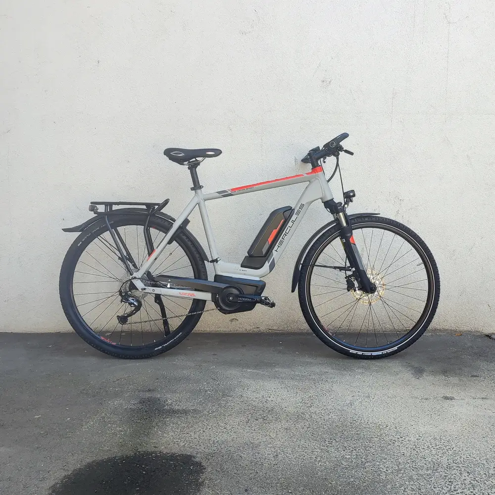 HERCULES Rob Cross Sport (2020)