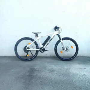 BEN-E-BIKE Twenty Six E-Power Pro (2026)