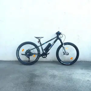 BEN-E-BIKE Twenty Four E-Power Pro (2026)