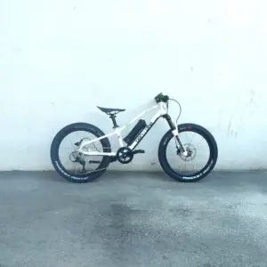 BEN-E-BIKE Twenty E-Power Pro (2026)